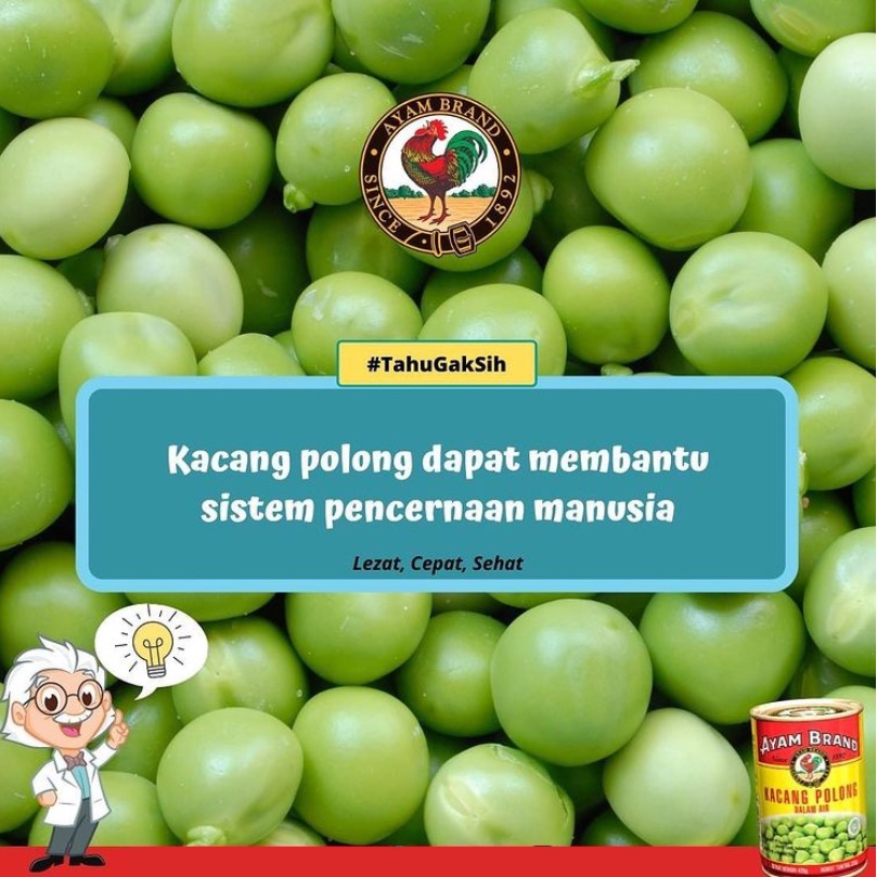 AYAM BRAND KACANG POLONG 425 GR PROCESSED PEAS IN WATER KALENG HALAL