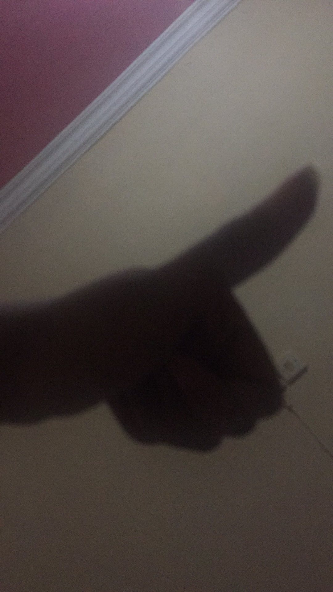 Tumbler Botol Minum Karakter Line Avenger Angry Birds Boboiboy Cinemaxx