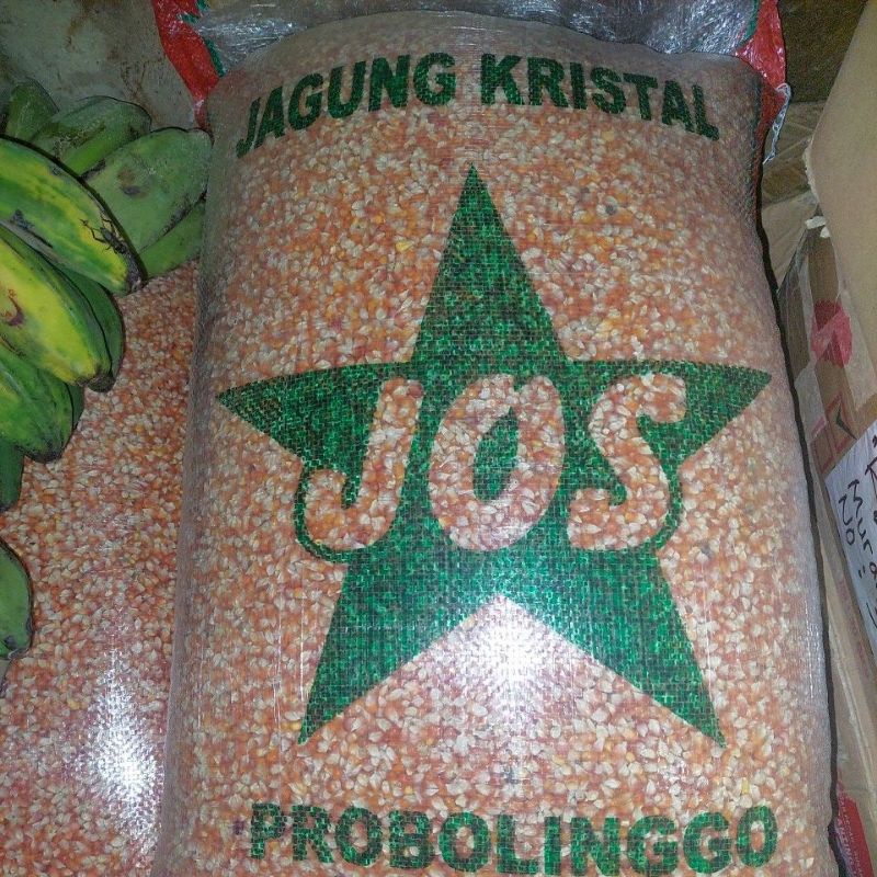 JAGUNG KRISTAL CRYSTAL PROBOLINGGO 5KG JAGUNG BURUNG DARA