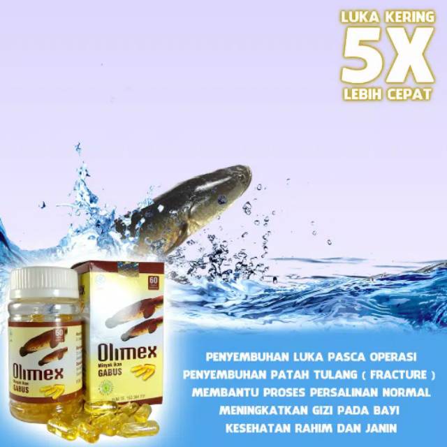 Kapsul Kutuk premium -kapsul minyak Albumin ikan Gabus  Asli