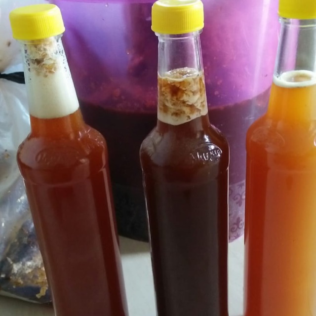 

Madu hutan asli 100%