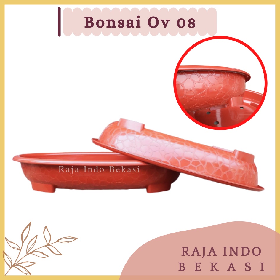 Ori Bjp Bonsai Oval Ov 08 Putih Hitam Merah Bata Coklat Pot Bunga Plastik Bonsai Budi Jaya Motif Batu Alam Ceper PendekPot Bonsai Plastik Keramik Semen Bonsai Mame Kelapa Besar Mini