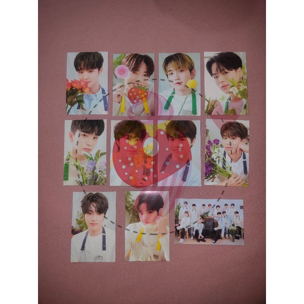 PHOTOCARD BINDER TREASURE BLOOMING / PC BINDER TREASURE BLOOMING / PC TREASURE