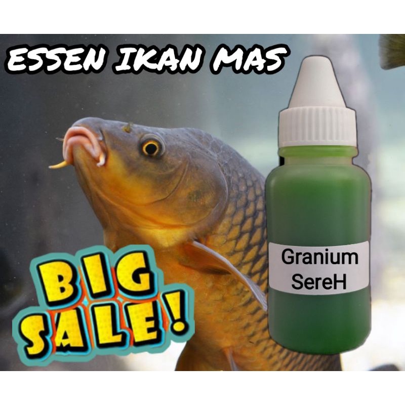 Jual Essen Oplosan Ikan Mas Aroma Granium Sereh Shopee Indonesia 1639