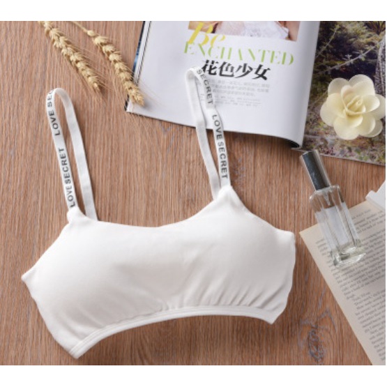 Bra BH Sport Wanita Push Up Sexy Seamless Nilon bralette kutang Fashion Korea BH02