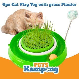 Opo Cat Cat Grass Planter Tempat tanam Rumput Kucing  Shopee 