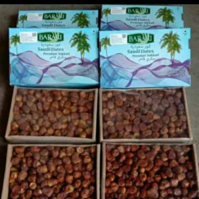 

Kurma barari sukarri