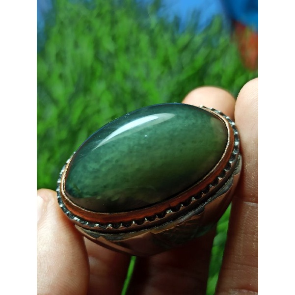 pandan lumut sisik betik pull