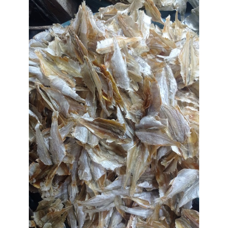 

Ikan Kerupuk Asin /100gr