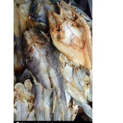 

Ikan Baung Sungai Kalteng