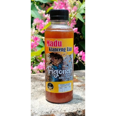 

MADU KLANCENG LIAR MURNI 100%