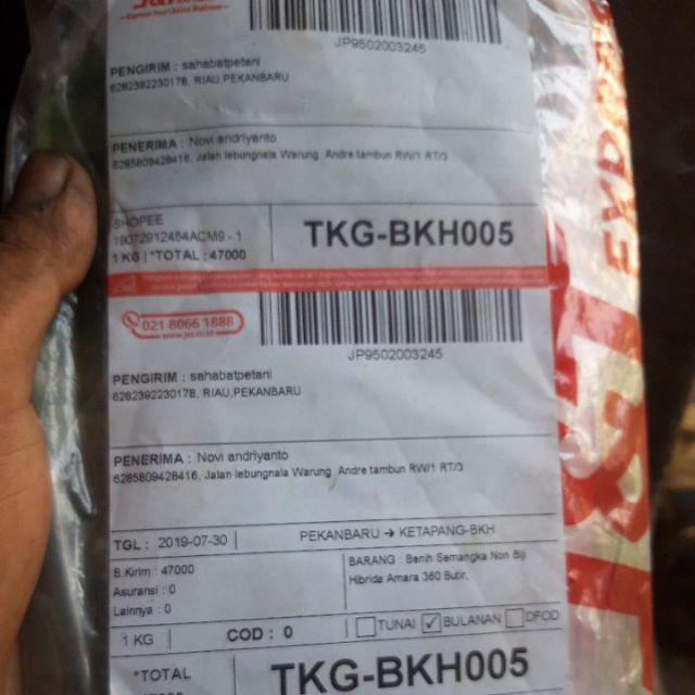 Benih Semangka Non Biji Hibrida Amara 360 Butir