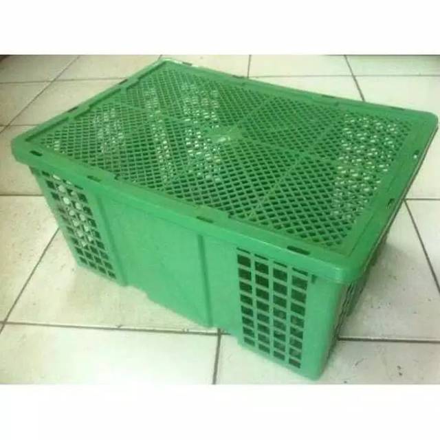 Keranjang Besar  Bekas Buah  Plus Tutup