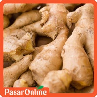 

Jahe Putih Besar / Gajah - 500 gr