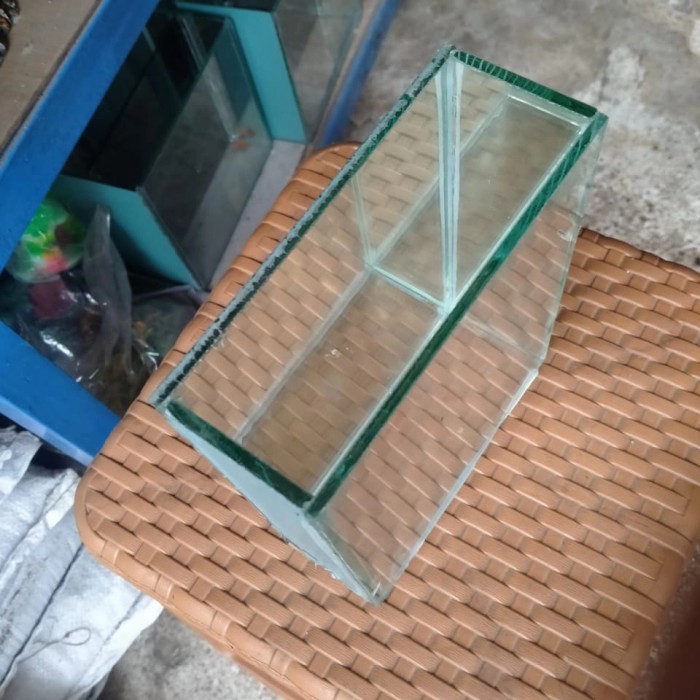 soliter kaca selvi ikan cupang 6x20x20