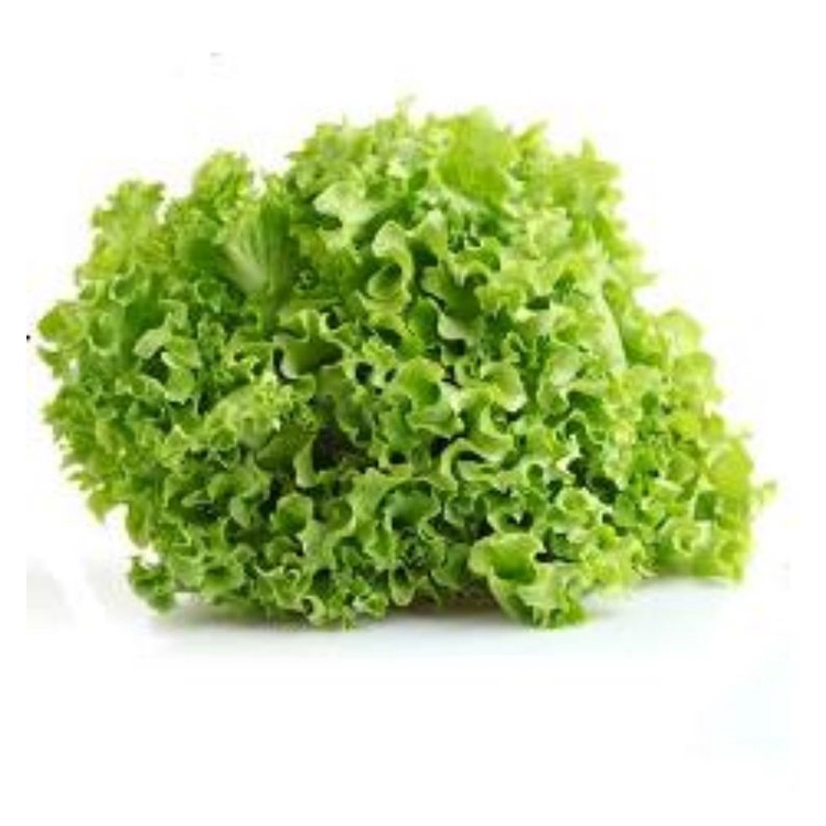 

Selada Keriting /250g