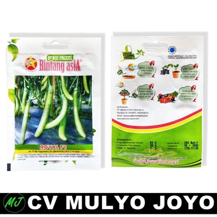 Benih Terong Hijau Benih Terong Panjang hijau Benih Buah Terong Hijau ROYAL F1 Mini Pack - 250 Biji