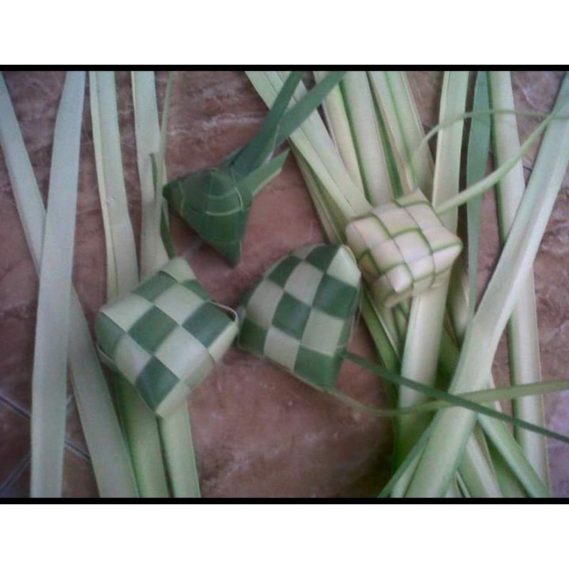 daun Siwalan muda buat ketupat harum dan tidak mudah basi