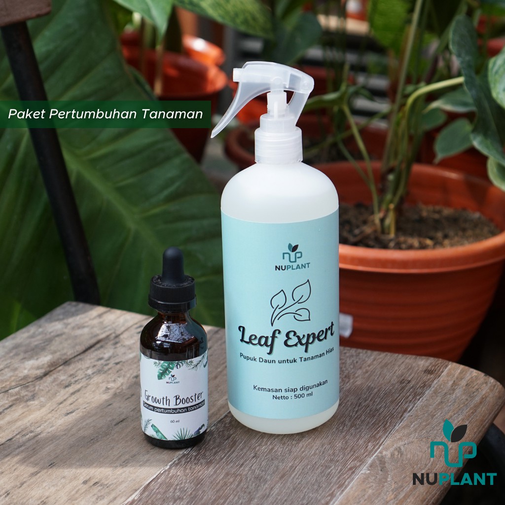 Nuplant Paket Nutrisi Pertumbuhan Tanaman Hias Mempercepat dan Mengoptimalkan Tanaman Hias