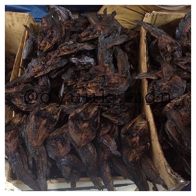 

Ikan Sale 1kg = Rp. 110.000