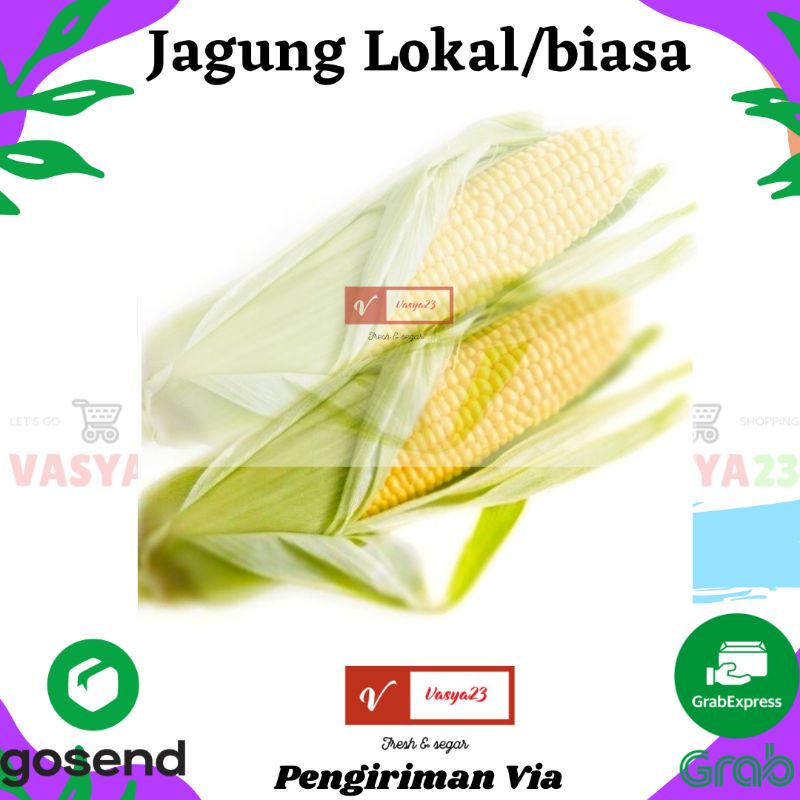 

JAGUNG LOKAL SEGAR FRESH