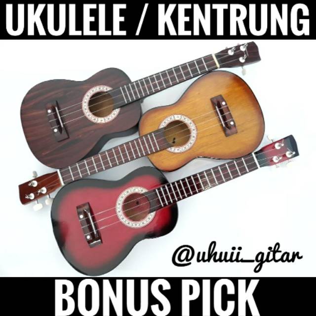 UKULELE SENAR 3