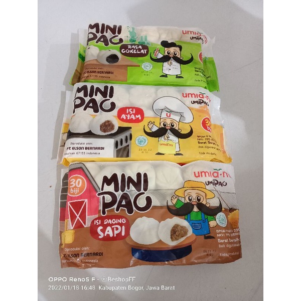 

Minipao ayam,sapi dan ayam isi 30biji