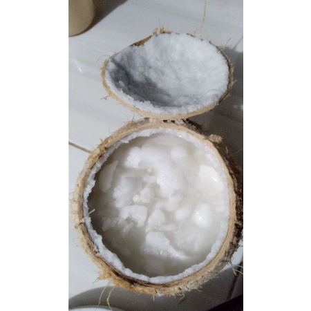 

KELAPA KOPYOR SUPER JOMBU ASLI SUMENEP MADURA