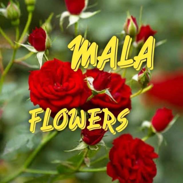 malaflower