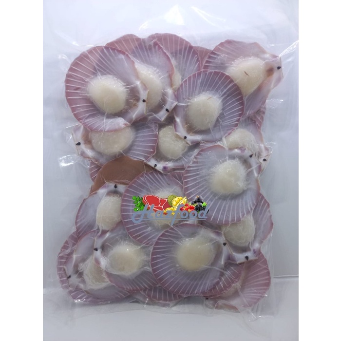 

Kerang Srimping Bersih Ukuran 30-40 500 gr I HALF SHELL SCALLOP