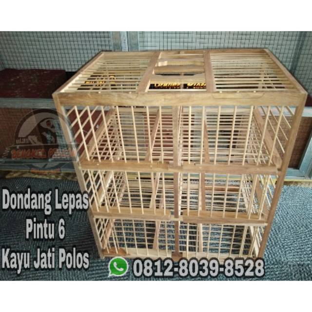 kandang burung merpati dondang dong dang lepas dara kolongan kayu jati
