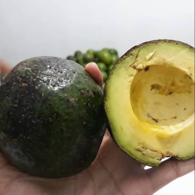 

Alpukat Mentega super