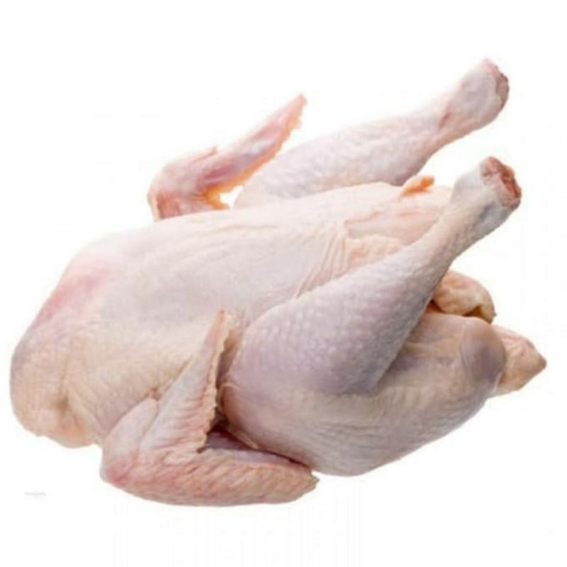 

ayam karkas broiler uk 05 - 06 gram