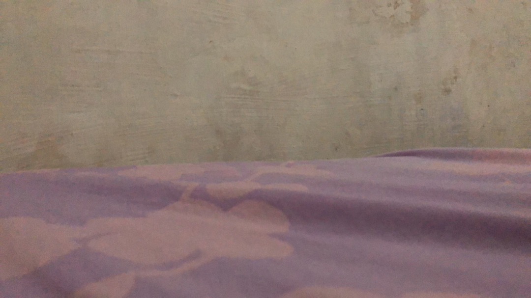 Rumah Gracia - Rantang Plastik Piknik Susun Golden Sunkist