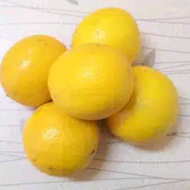 

Jeruk lemon California lokal