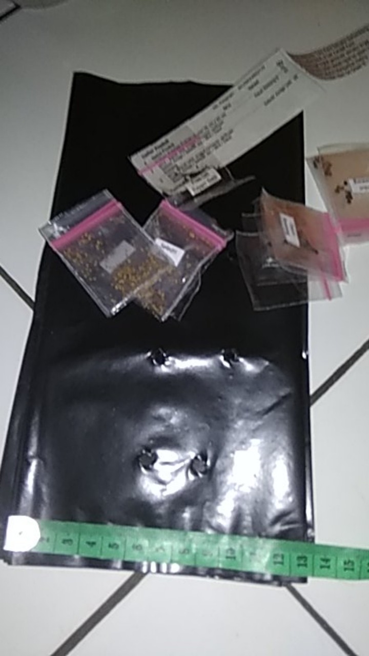 Polibag Polybag Eceran Ukuran 25 Cm X 25 Cm