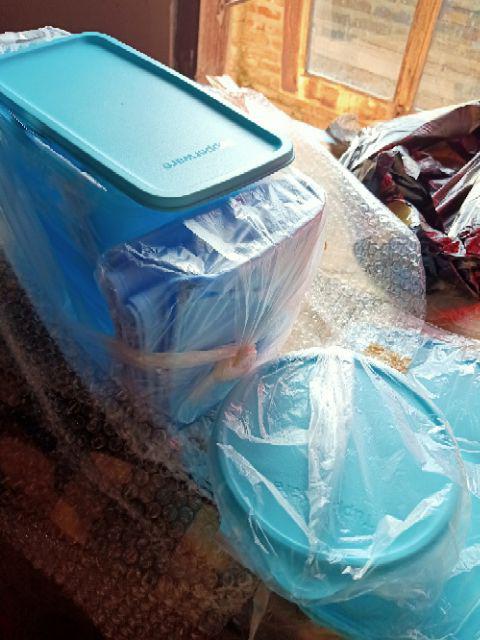 Sale - Freshia Coll + Free