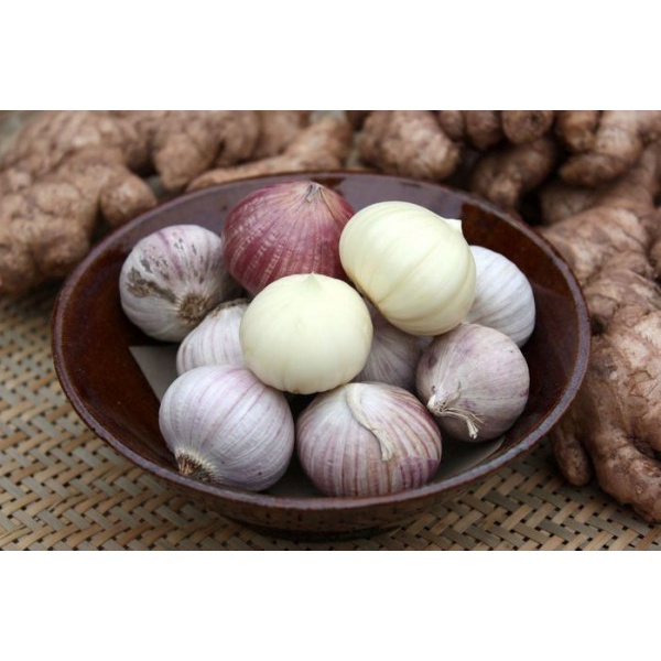 

Bawang Putih Tunggal Bawang Lanang Multi Manfaat
