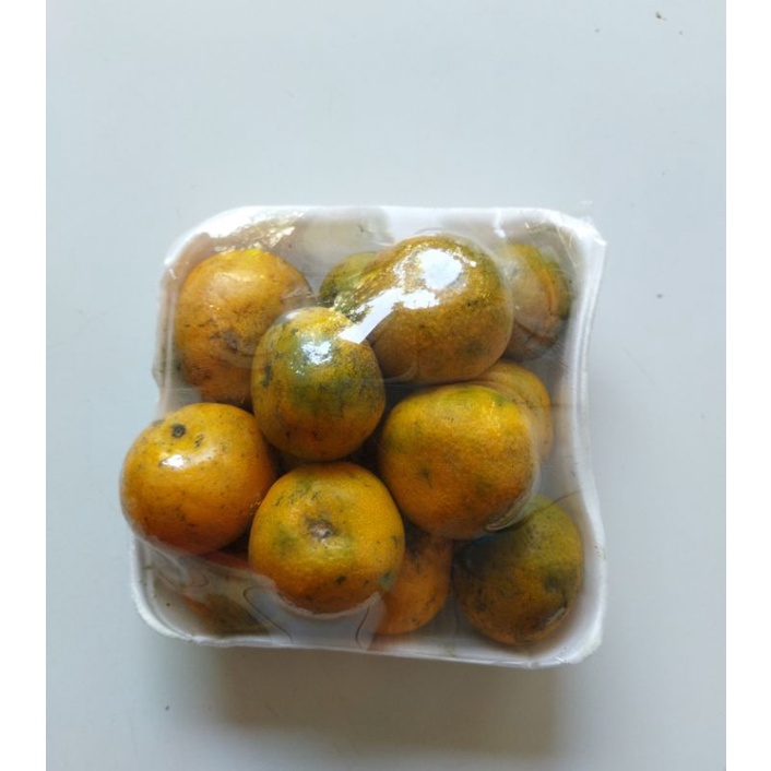 

Jeruk Medan Segar & Fresh 1 Kg