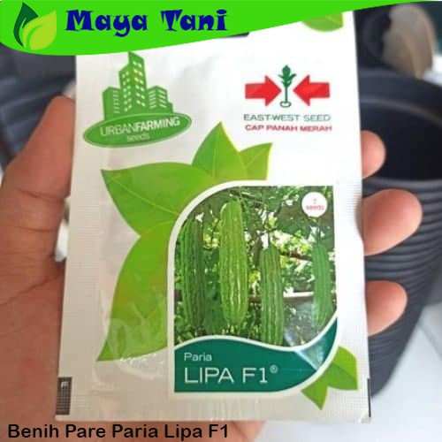 Benih Pare Lipa atau Paria Lipa F1 Panah Merah