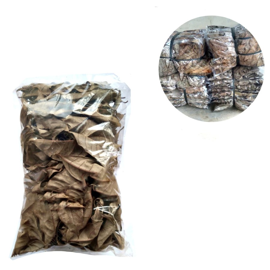 

DAUN PALA KERING SUPER PREMIUM 100 GRAM