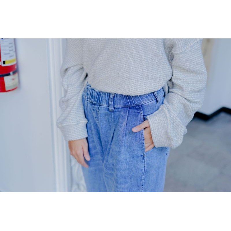 ZANO BASICS BOYFRIEND Meera Kr