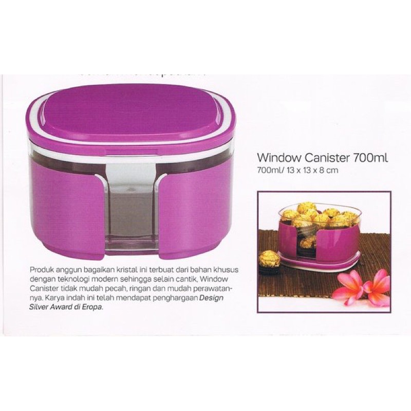 Window Canister Activity Tupperware.