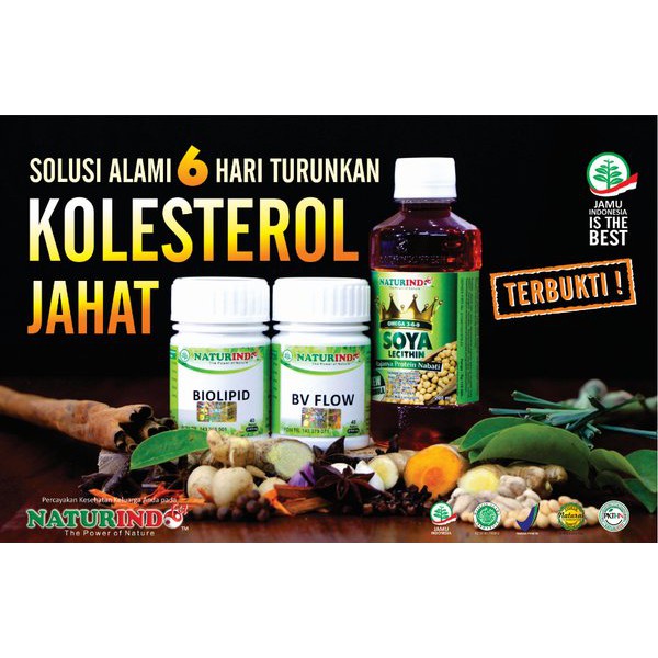 OBAT HERBAL KOLESTEROL TINGGI PAKET NATURINDO