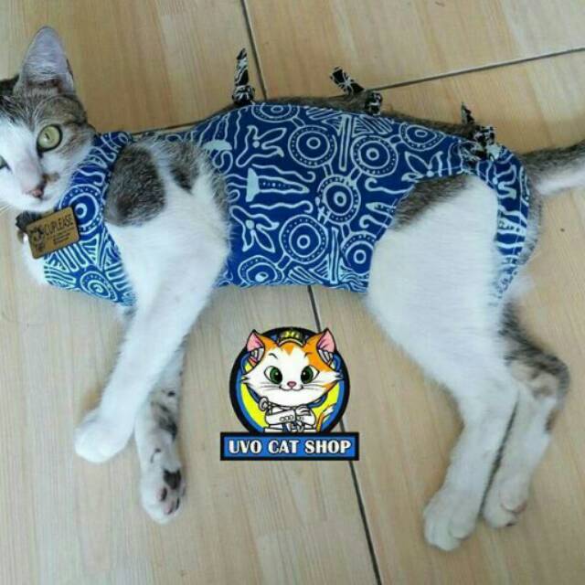 Baju Kucing Pasca Steril Shopee Indonesia