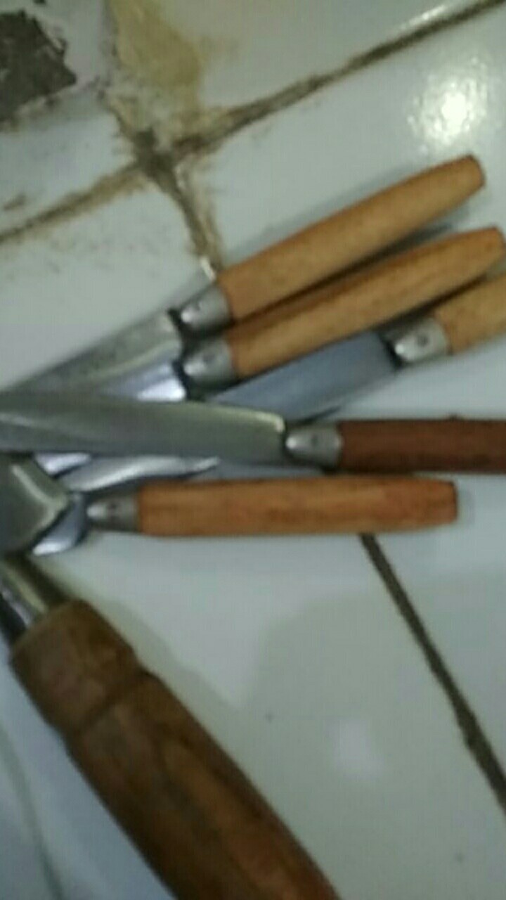 Grosir!! Pisau Buah Murah Bahan Baja | Pisau Dapur Mini | Pisau Rajang Sayuran