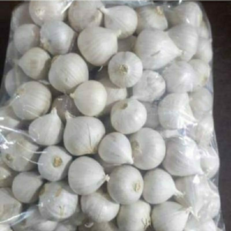 

Bawang putih tunggal super/bawang lanang 1kg free kardus packing baru