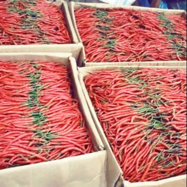

Cabe merah
