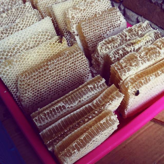 

Madu Sarang (500 gr)