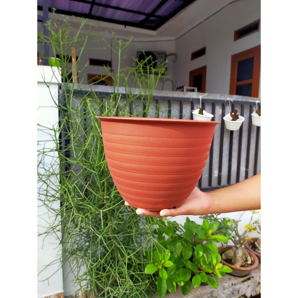 Pot Lumba 28 Putih Diameter 24 Cm Motif Tawon - Pot Bunga Plastik 24cm Bunga Lidah Mertua Aglonema